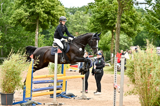 Goldene Schärpe Pferfde in Löningen 2026 | 14062026 Springen 2 Abt _301 