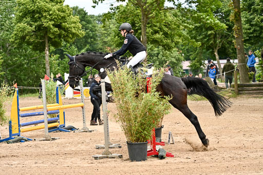 Goldene Schärpe Pferfde in Löningen 2026 | 14062026 Springen 2 Abt _309 