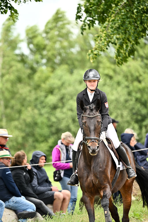 Goldene Schärpe Pferfde in Löningen 2026 | 14062026 Springen 2 Abt _310 