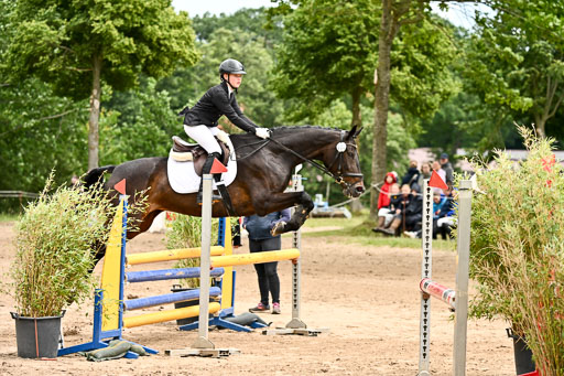 Goldene Schärpe Pferfde in Löningen 2026 | 14062026 Springen 2 Abt _314 