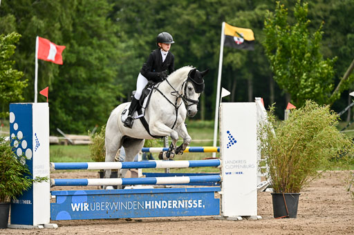 Goldene Schärpe Pferfde in Löningen 2026 | 14062026 Springen 2 Abt _323 