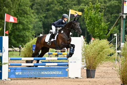 Goldene Schärpe Pferfde in Löningen 2026 | 14062026 Springen 2 Abt _333 