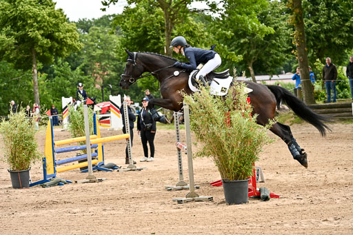 Goldene Schärpe Pferfde in Löningen 2026 | 14062026 Springen 2 Abt _343 