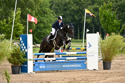 Goldene Schärpe Pferfde in Löningen 2026 | 14062026 Springen 2 Abt _346 