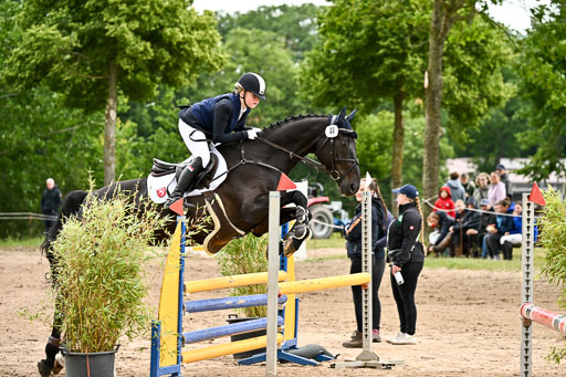 Goldene Schärpe Pferfde in Löningen 2026 | 14062026 Springen 2 Abt _347 