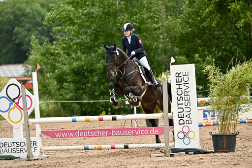 Goldene Schärpe Pferfde in Löningen 2026 | 14062026 Springen 2 Abt _349 