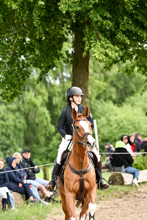Goldene Schärpe Pferfde in Löningen 2026 | 14062026 Springen 2 Abt _357 