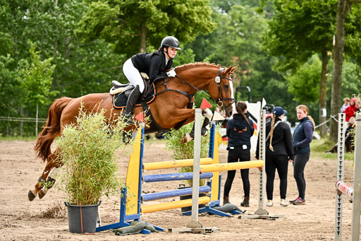 Goldene Schärpe Pferfde in Löningen 2026 | 14062026 Springen 2 Abt _360 
