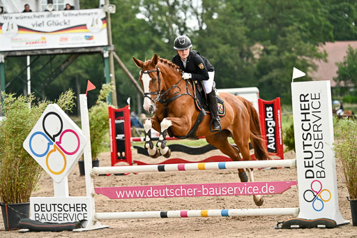 Goldene Schärpe Pferfde in Löningen 2026 | 14062026 Springen 2 Abt _365 