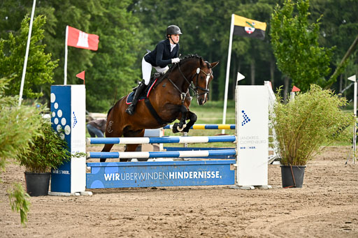 Goldene Schärpe Pferfde in Löningen 2026 | 14062026 Springen 2 Abt _368 
