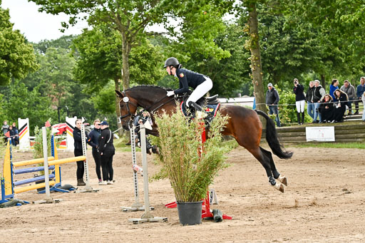 Goldene Schärpe Pferfde in Löningen 2026 | 14062026 Springen 2 Abt _377 