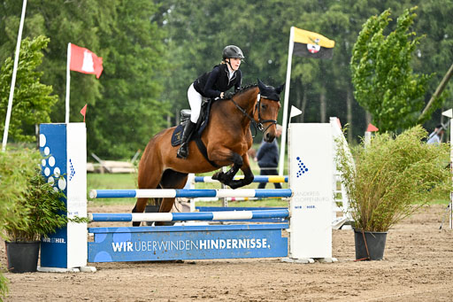 Goldene Schärpe Pferfde in Löningen 2026 | 14062026 Springen 2 Abt _379 