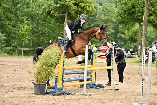 Goldene Schärpe Pferfde in Löningen 2026 | 14062026 Springen 2 Abt _380 