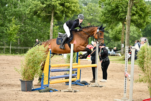 Goldene Schärpe Pferfde in Löningen 2026 | 14062026 Springen 2 Abt _381 