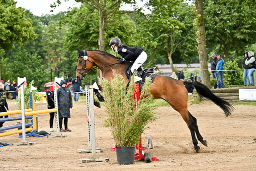 Goldene Schärpe Pferfde in Löningen 2026 | 14062026 Springen 2 Abt _388 