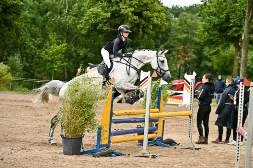 Goldene Schärpe Pferfde in Löningen 2026 | 14062026 Springen 2 Abt _392 