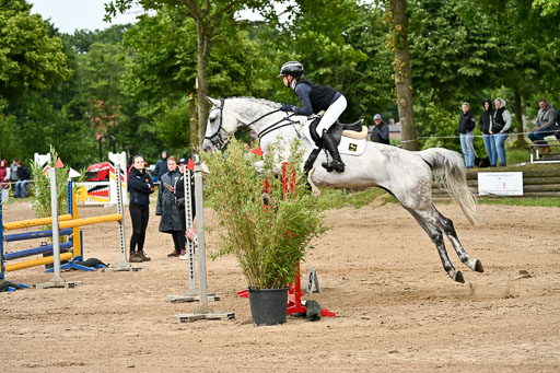 Goldene Schärpe Pferfde in Löningen 2026 | 14062026 Springen 2 Abt _401 
