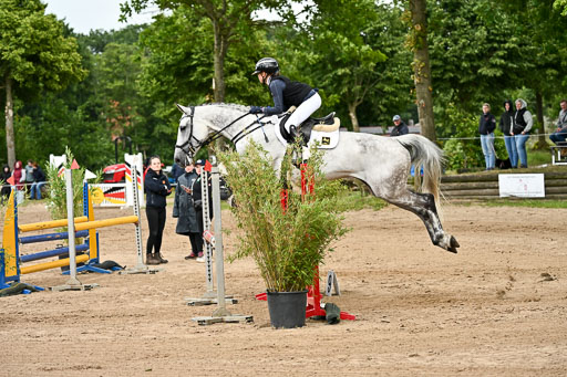 Goldene Schärpe Pferfde in Löningen 2026 | 14062026 Springen 2 Abt _402 