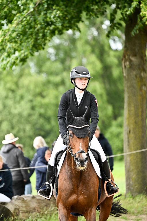 Goldene Schärpe Pferfde in Löningen 2026 | 14062026 Springen 2 Abt _403 
