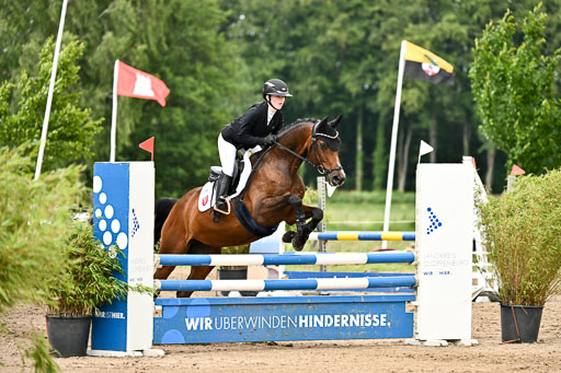 Goldene Schärpe Pferfde in Löningen 2026 | 14062026 Springen 2 Abt _404 