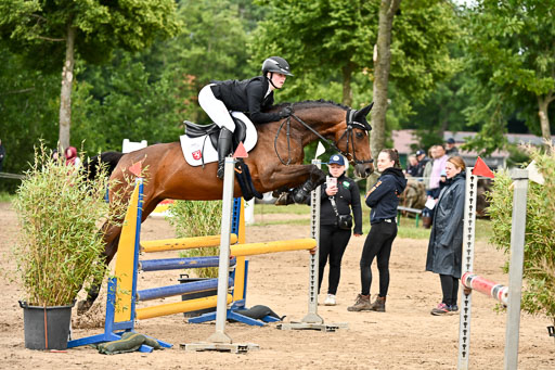 Goldene Schärpe Pferfde in Löningen 2026 | 14062026 Springen 2 Abt _406 
