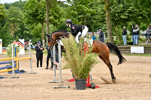 Goldene Schärpe Pferfde in Löningen 2026 | 14062026 Springen 2 Abt _412 