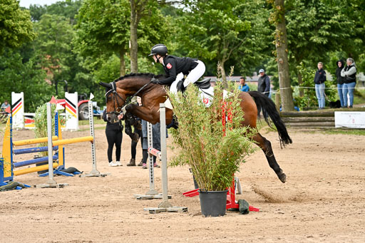 Goldene Schärpe Pferfde in Löningen 2026 | 14062026 Springen 2 Abt _413 