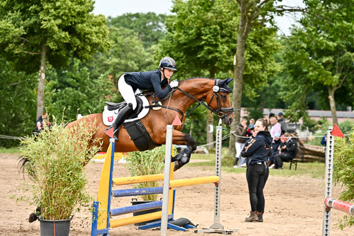 Goldene Schärpe Pferfde in Löningen 2026 | 14062026 Springen 2 Abt _415 