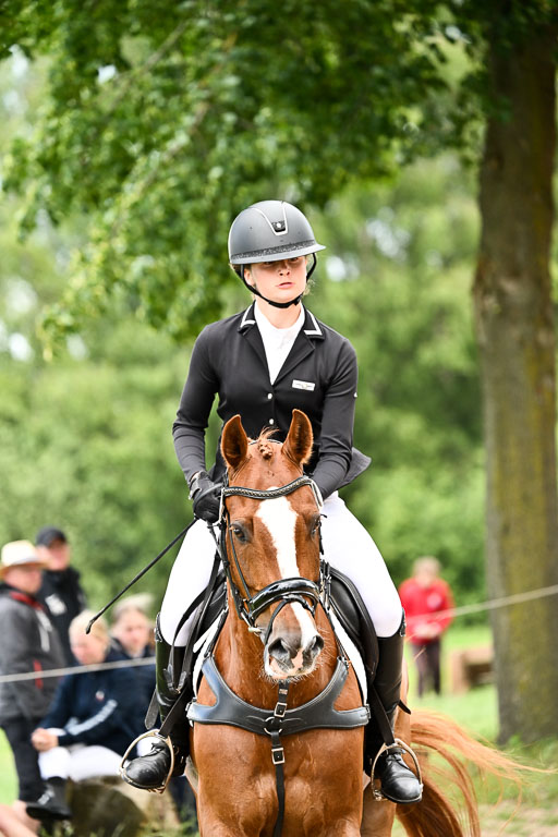 Goldene Schärpe Pferfde in Löningen 2026 | 14062026 Springen 2 Abt _424 