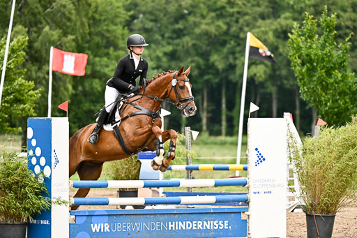 Goldene Schärpe Pferfde in Löningen 2026 | 14062026 Springen 2 Abt _425 