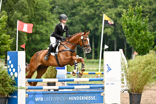 Goldene Schärpe Pferfde in Löningen 2026 | 14062026 Springen 2 Abt _426 
