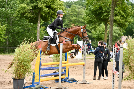 Goldene Schärpe Pferfde in Löningen 2026 | 14062026 Springen 2 Abt _427 