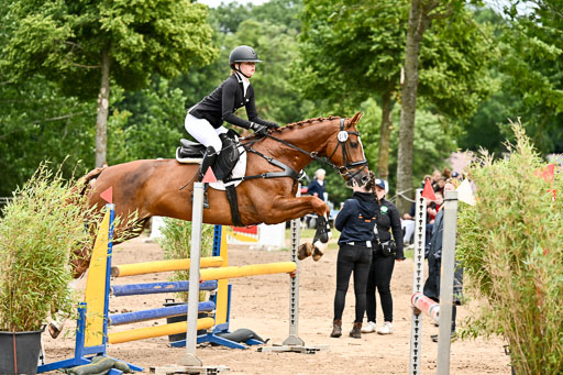 Goldene Schärpe Pferfde in Löningen 2026 | 14062026 Springen 2 Abt _428 