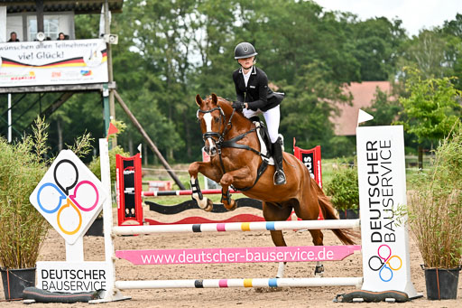 Goldene Schärpe Pferfde in Löningen 2026 | 14062026 Springen 2 Abt _431 