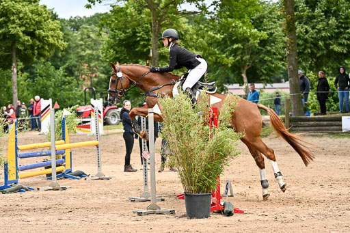 Goldene Schärpe Pferfde in Löningen 2026 | 14062026 Springen 2 Abt _434 