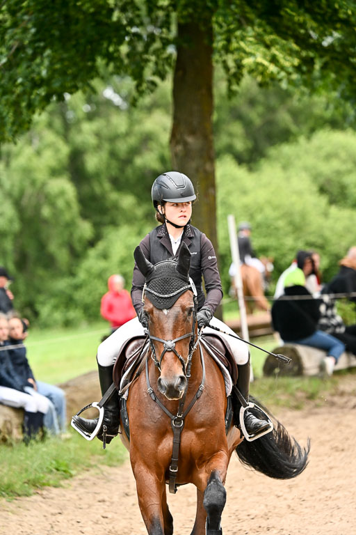 Goldene Schärpe Pferfde in Löningen 2026 | 14062026 Springen 2 Abt _435 