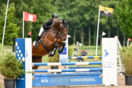 Goldene Schärpe Pferfde in Löningen 2026 | 14062026 Springen 2 Abt _436 