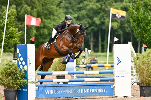 Goldene Schärpe Pferfde in Löningen 2026 | 14062026 Springen 2 Abt _437 