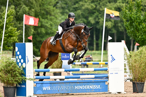 Goldene Schärpe Pferfde in Löningen 2026 | 14062026 Springen 2 Abt _438 