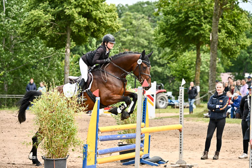 Goldene Schärpe Pferfde in Löningen 2026 | 14062026 Springen 2 Abt _439 