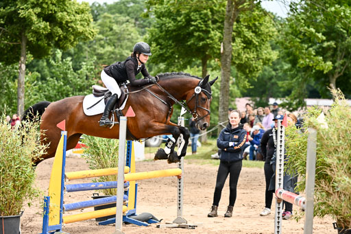 Goldene Schärpe Pferfde in Löningen 2026 | 14062026 Springen 2 Abt _441 