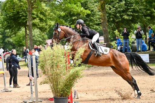 Goldene Schärpe Pferfde in Löningen 2026 | 14062026 Springen 2 Abt _446 