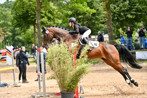 Goldene Schärpe Pferfde in Löningen 2026 | 14062026 Springen 2 Abt _447 