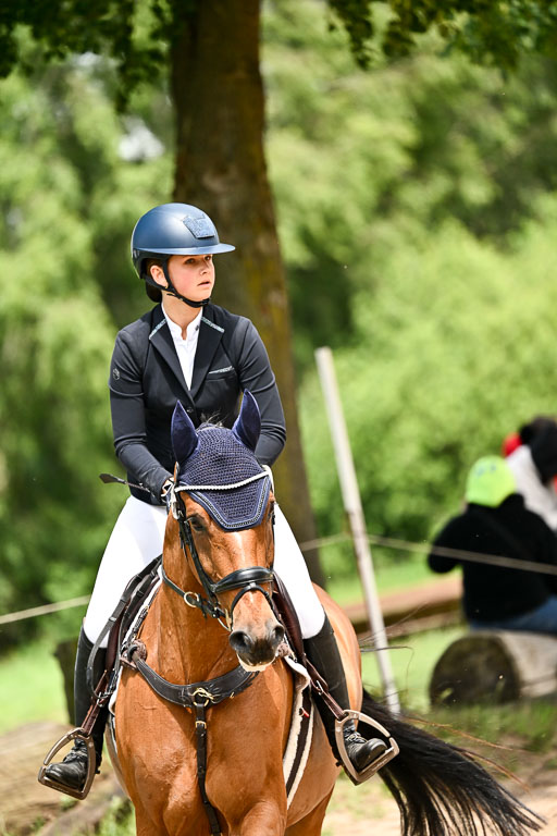 Goldene Schärpe Pferfde in Löningen 2026 | 14062026 Springen 2 Abt _449 