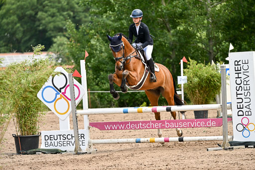 Goldene Schärpe Pferfde in Löningen 2026 | 14062026 Springen 2 Abt _454 