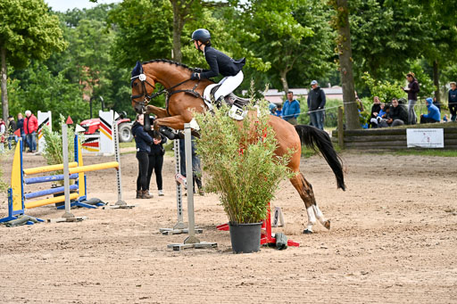 Goldene Schärpe Pferfde in Löningen 2026 | 14062026 Springen 2 Abt _459 