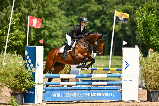 Goldene Schärpe Pferfde in Löningen 2026 | 14062026 Springen 2 Abt _461 