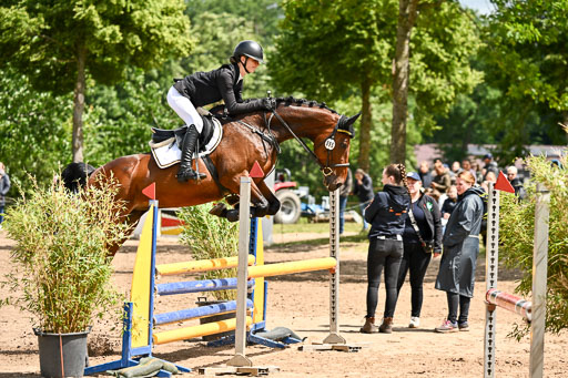 Goldene Schärpe Pferfde in Löningen 2026 | 14062026 Springen 2 Abt _462 