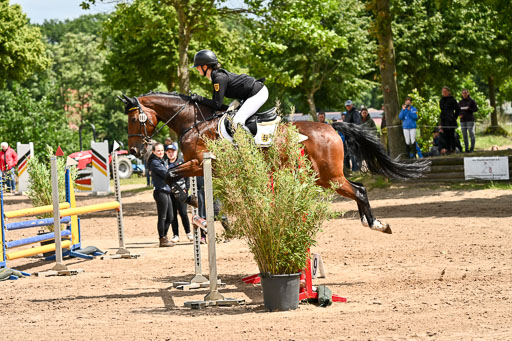 Goldene Schärpe Pferfde in Löningen 2026 | 14062026 Springen 2 Abt _468 