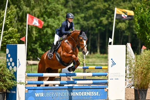 Goldene Schärpe Pferfde in Löningen 2026 | 14062026 Springen 2 Abt _470 